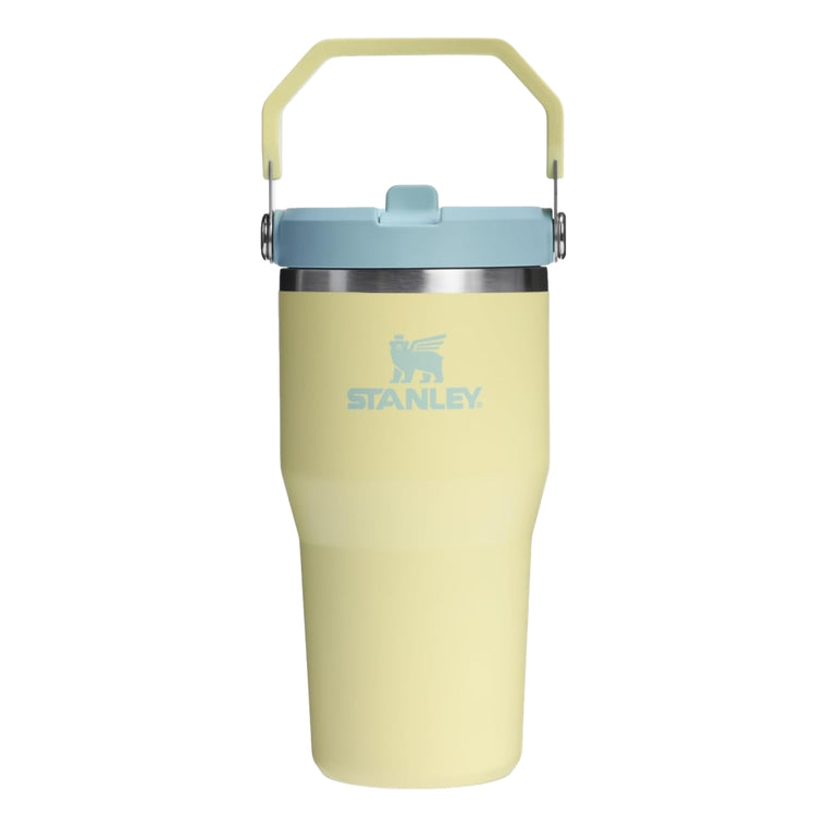 STANLEY 20OZ ICEFLOW 2.0 FLIPSTRAW TUMBLER-POMELO