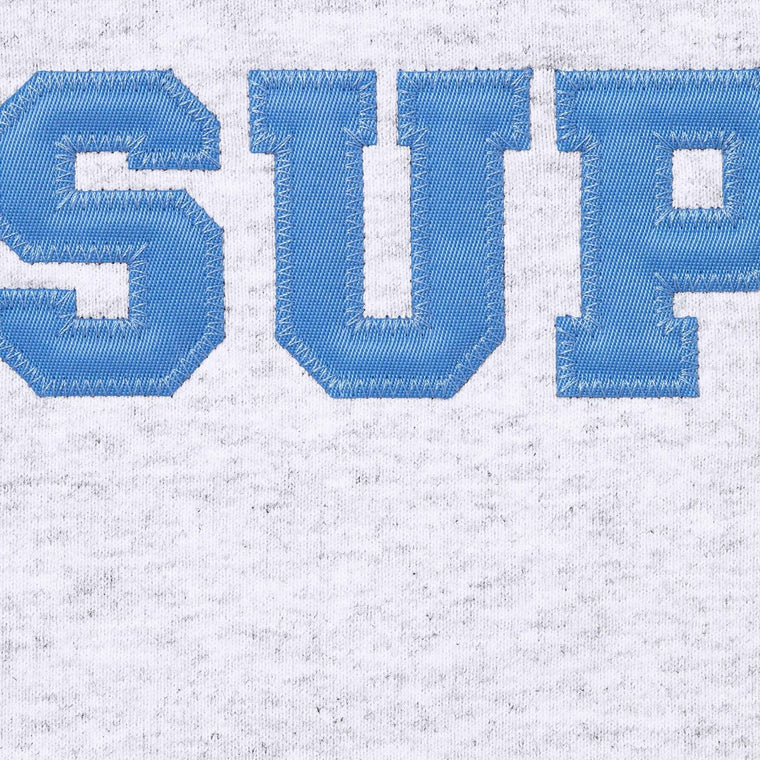 SUPREME COLLEGIATE APPLIQUE ZIP UP HOODED SWEATSHIRT-GREY