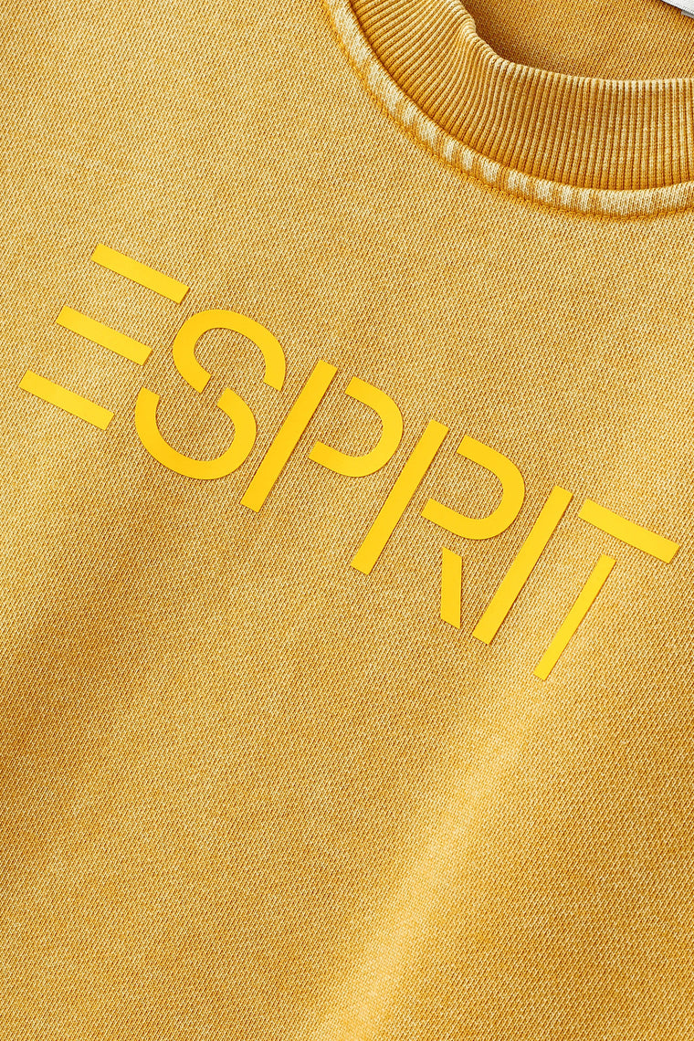 ESPRIT CROPPED TONAL SWEATER-YELLOW