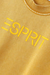ESPRIT CROPPED TONAL SWEATER-YELLOW