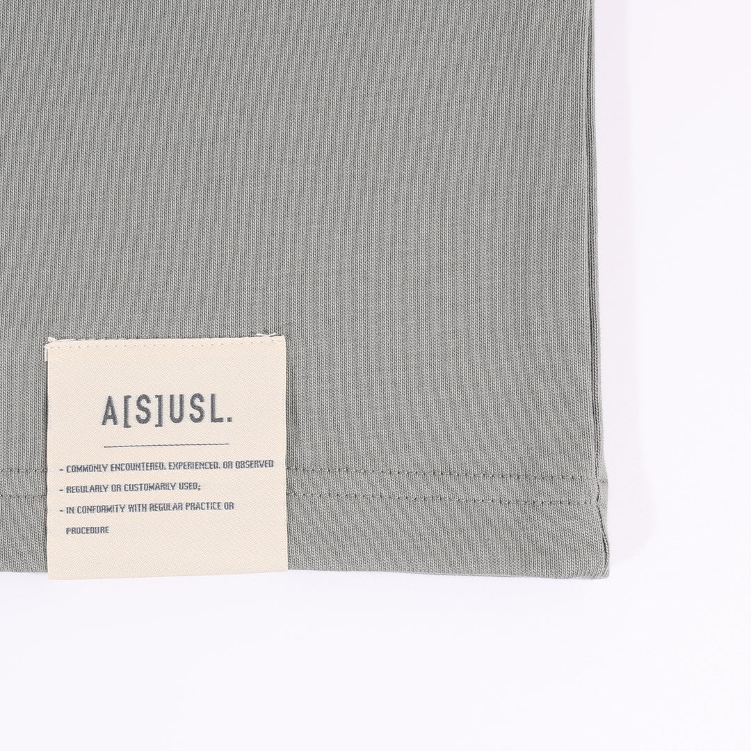 A[S]USL FEAR IS A RECATION TEE-GREY