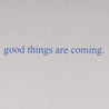 A[S]USL GOOD THINGS ARE COMING SLEEVELESS-GREY