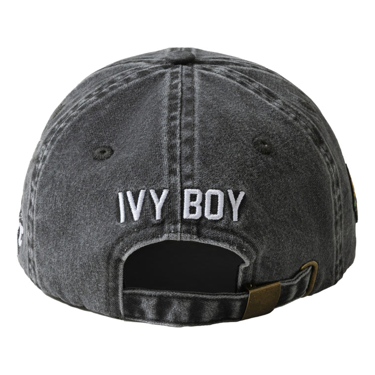 SCENE BY ICE FIRE X IVY BOY CAP-GREY