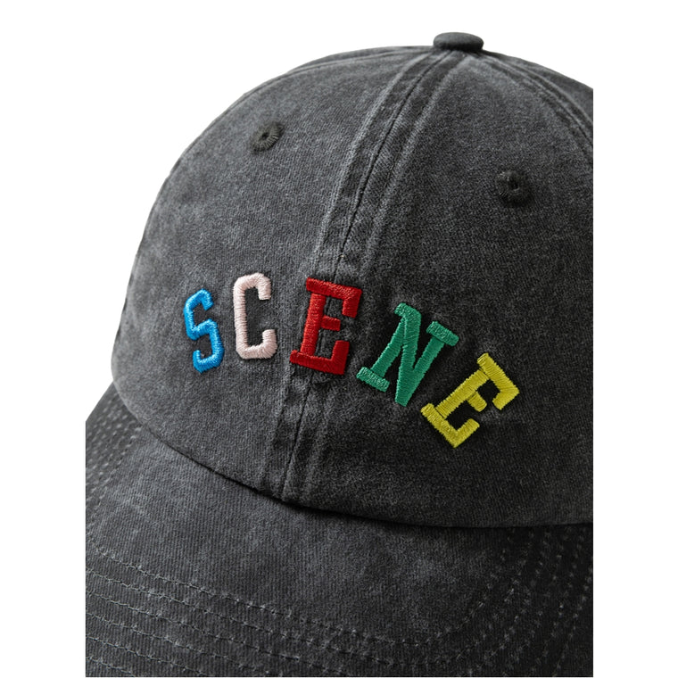 SCENE BY ICE FIRE X IVY BOY CAP-GREY