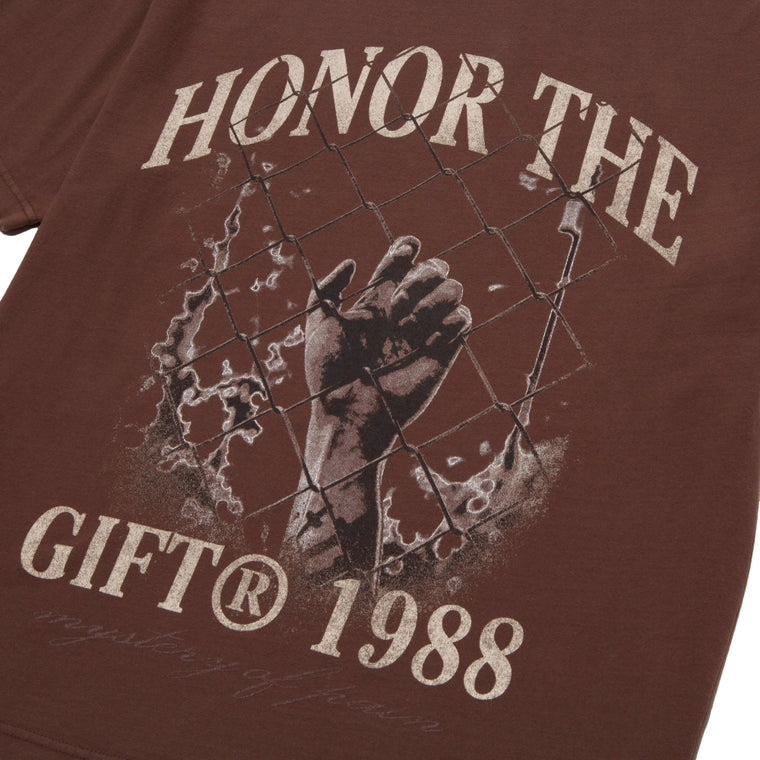 HONOR THE GIFT MYSTERY OF PAIN TEE-BROWN