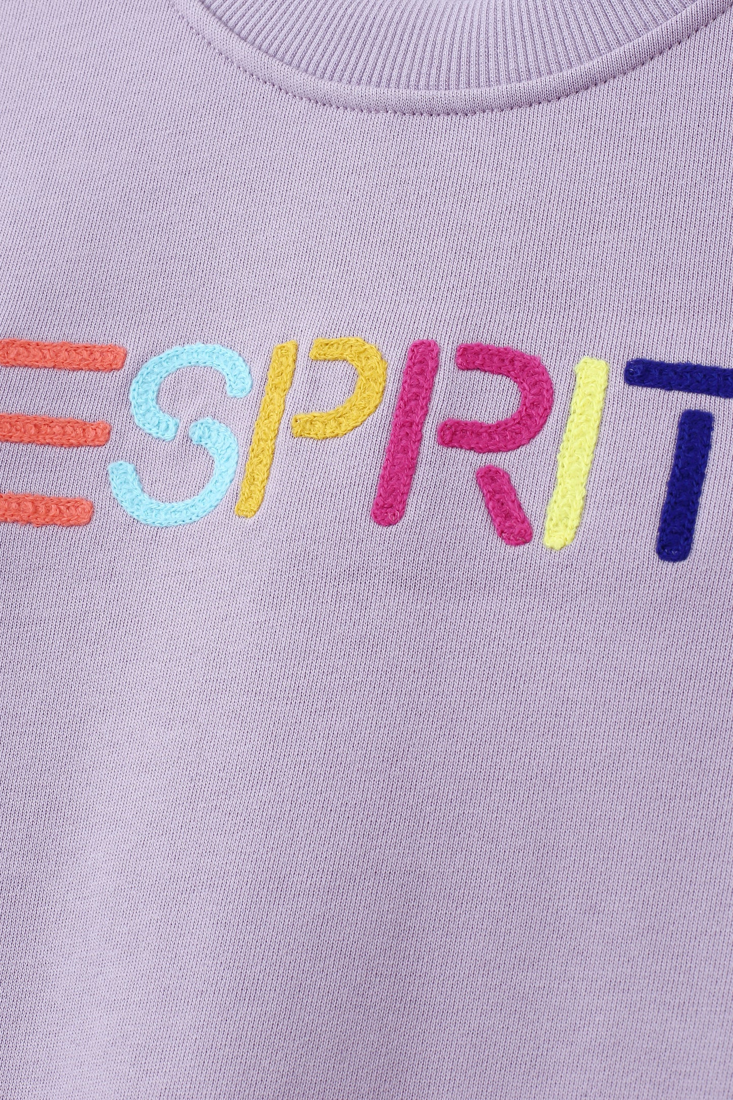 ESPRIT MULTICOLOUR EMBROIDERED LOGO CREW NECK SWEATSHIRT-VIOLET