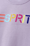 ESPRIT MULTICOLOUR EMBROIDERED LOGO CREW NECK SWEATSHIRT-VIOLET