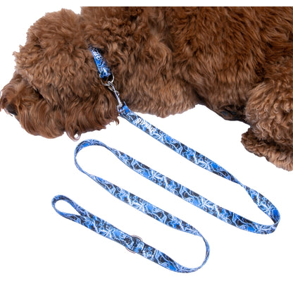 RIPNDIP NIKOLA PET LEASH-BLUE