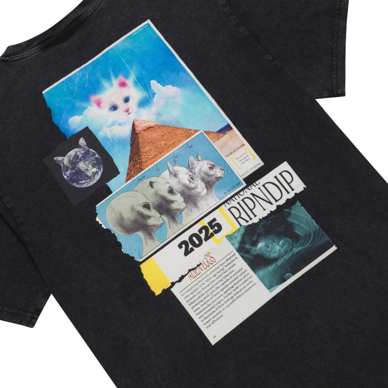 RIPNDIP NERM GEO TEE-BLACK VINTAGE WASH