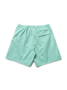 SCENE BY ICE FIRE STRETCH TECH SHORTS-GREEN