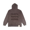 A[S]USL SNOW WASH BLESSED HOODIE-CHARCOAL