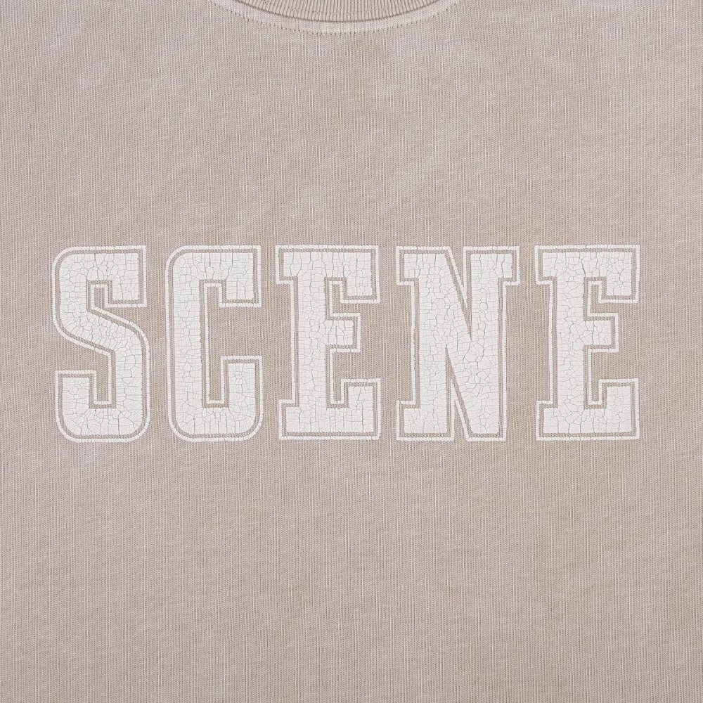 SCENE BY ICE FIRE SNOW WASHED TEE // 008-GREY