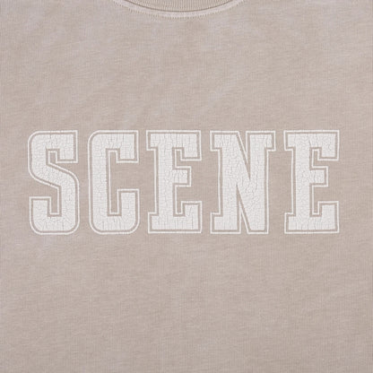 SCENE BY ICE FIRE SNOW WASHED TEE // 008-GREY