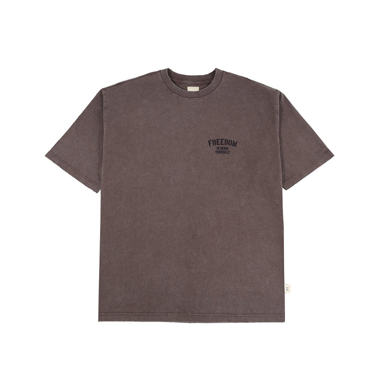 A[S]USL SNOW WASH FREEDOM TEE-BROWN