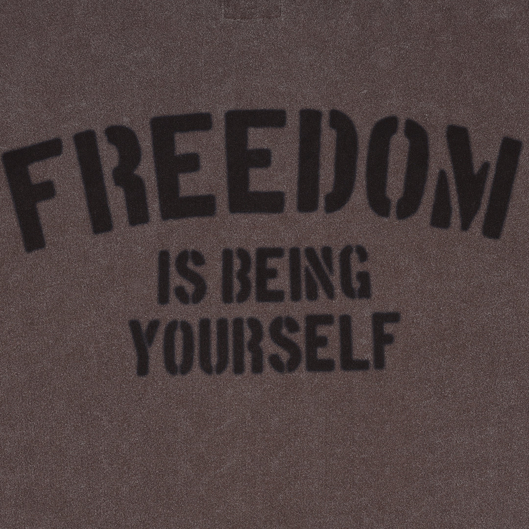 A[S]USL SNOW WASH FREEDOM TEE-BROWN