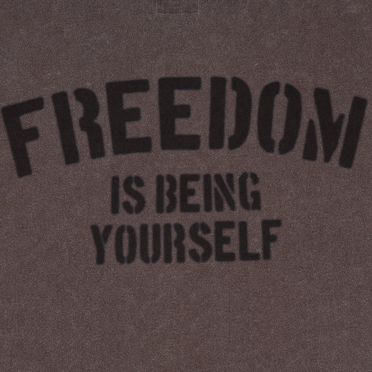 A[S]USL SNOW WASH FREEDOM TEE-BROWN