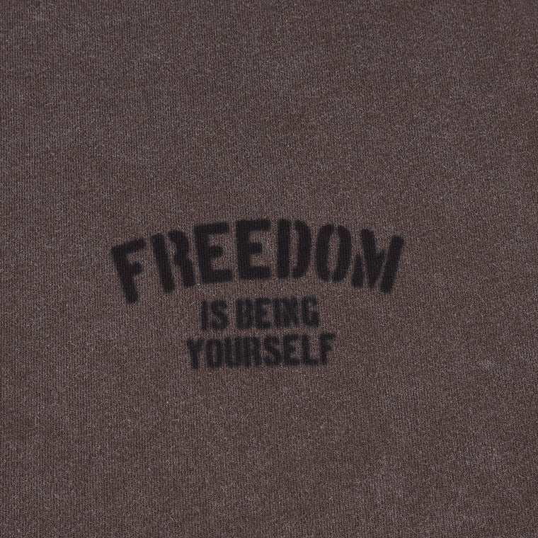 A[S]USL SNOW WASH FREEDOM TEE-BROWN
