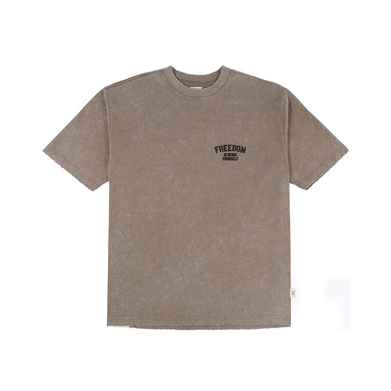 A[S]USL SNOW WASH FREEDOM TEE-GREY