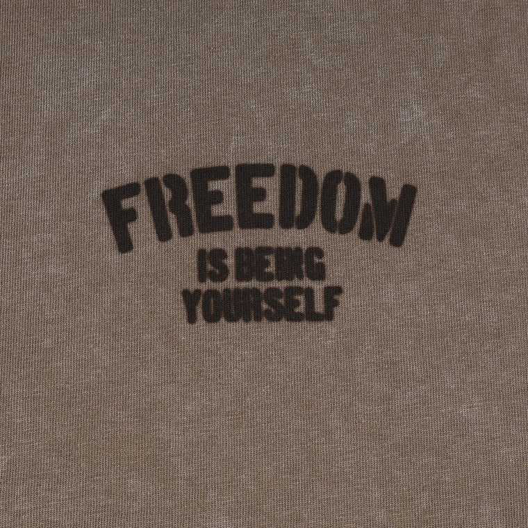 A[S]USL SNOW WASH FREEDOM TEE-GREY