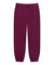 STUSSY STOCK LOGO PANT-BURGUNDY
