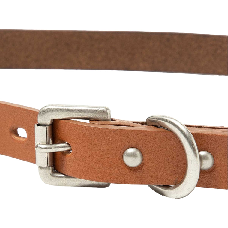 HOBO STUDDED ROLLER BUCKLE BELT COW LEATHER-CAMEL