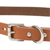 HOBO STUDDED ROLLER BUCKLE BELT COW LEATHER-CAMEL