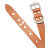 HOBO STUDDED ROLLER BUCKLE BELT COW LEATHER-CAMEL