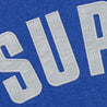 SUPREME ARC THERMAL LINED ZIP UP HOODED SWEATSHIRT-ROYAL