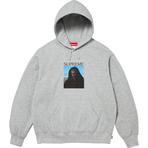 SUPREME SITH HOODED SWEATSHIRT-GREY